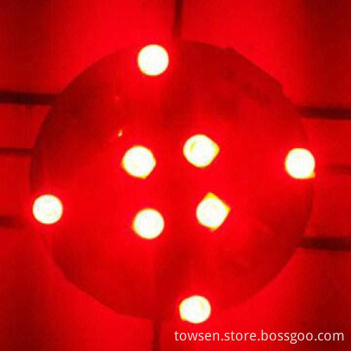 Waterproof IP65/Christmas Decoration Amusement LED Light